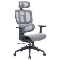 Крісло офісне OfficePro Skyline OC680-B-G-G
