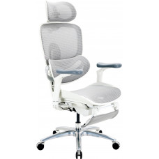 Крісло офісне Sihoo C300 LITE V2 White C300-LITE-V2-B102-JT