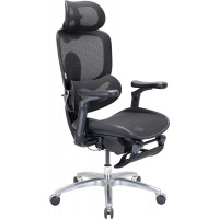 Крісло офісне Sihoo C300 LITE V2 Black C300-LITE-V2-B101-JT