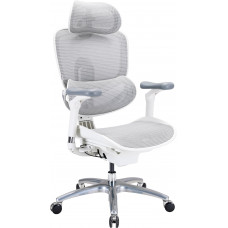 Крісло офісне Sihoo C300 LITE V2 White C300-LITE-V2-B102