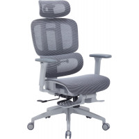 Крісло офісне OfficePro Skyline OC750-G-DG-DG