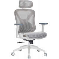 Крісло офісне Officepro Atlas OC630-W-LG-LG