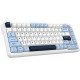 Клавіатура механічна Ajazz AK820 MAX PLUS Daydream Switch RGB Wireless/BT/USB White AK820MAX-DD-BWD
