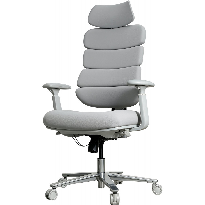 Крісло комп’ютерне офісне ергономічне OfficePro FlexCore OC120G