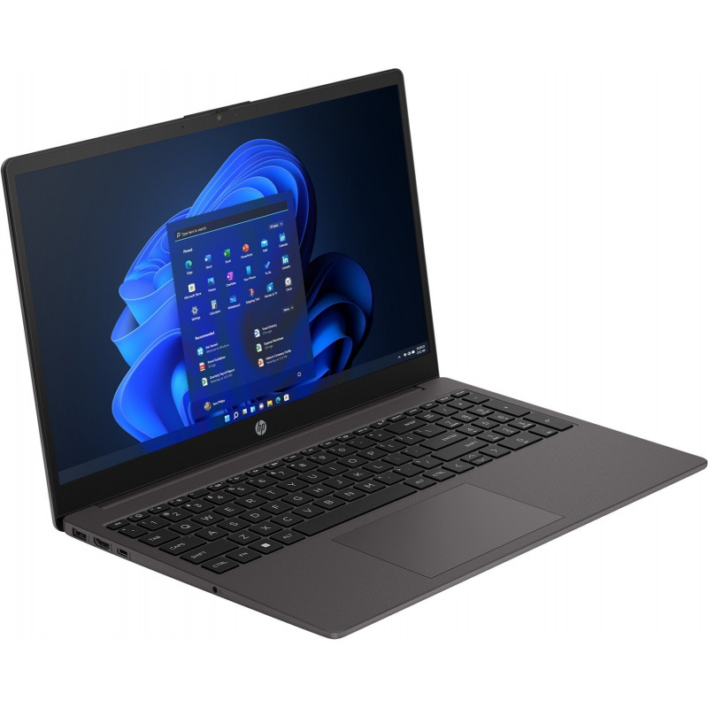 Ноутбук HP 255R-G10 CJ2T8AT