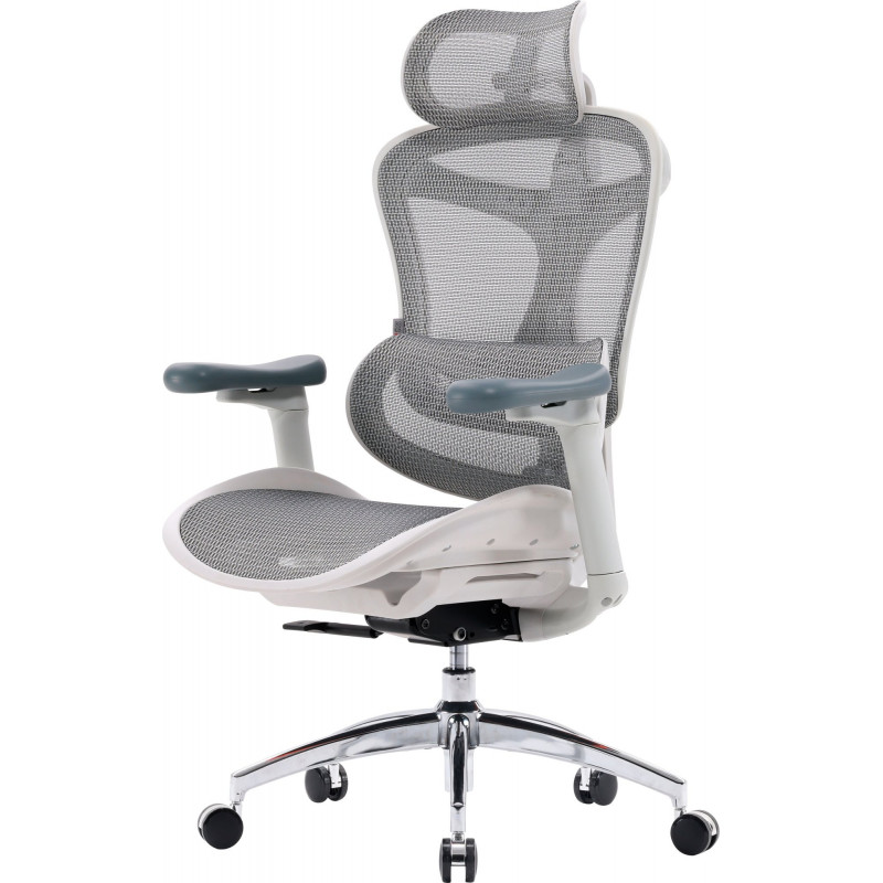 Крісло офісне Sihoo DORO-C300L-A3-102