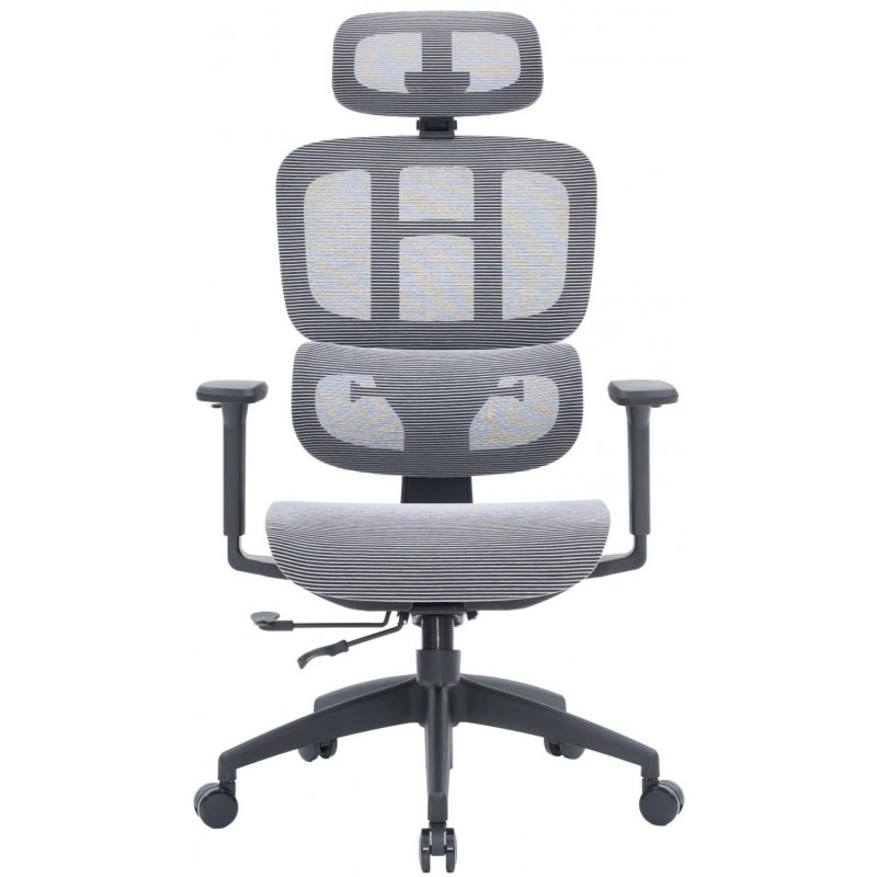 Крісло офісне OfficePro Skyline OC680-B-G-G