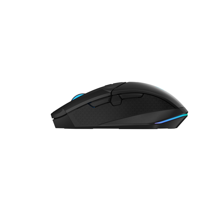 Mиша ACER GP.MCE11.043