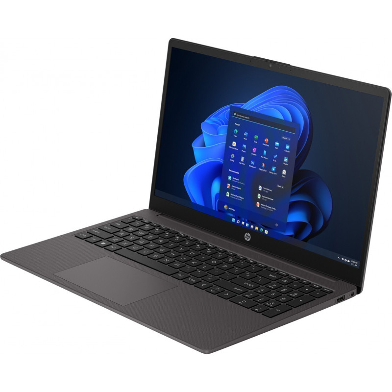 Ноутбук HP 255R-G10 CJ2T8AT