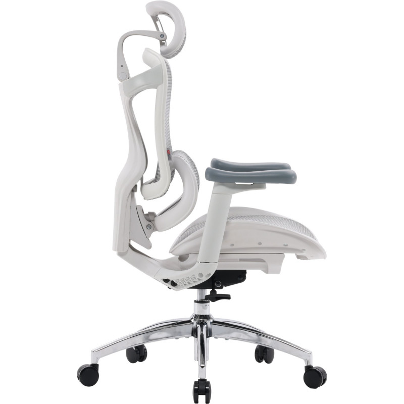 Крісло офісне Sihoo DORO-C300L-A3-102