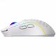 Миша Proove Gaming Buzz (white) WL