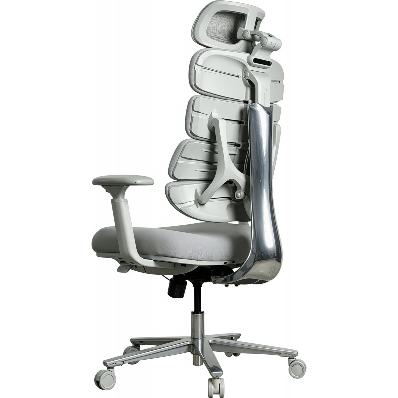 Крісло комп’ютерне офісне ергономічне OfficePro FlexCore OC120G