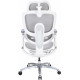 Крісло офісне Sihoo C300 LITE V2 White C300-LITE-V2-B102