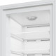 Морозильна камера Beko B1RFNE314W