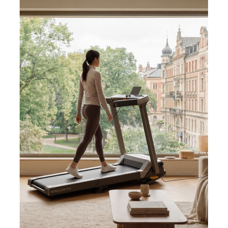 Бігова доріжка G5I KINGSMIТH WalkingPad Treadmill WP500L5