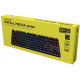 Клавіатура механічна HATOR Icefall Mecha TKL wireless Rainbow (HTK287UA) black