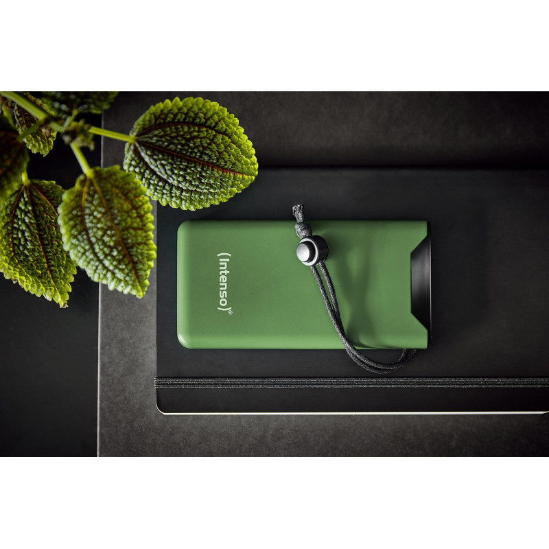 Портативний зарядний пристрій INTENSO USB 10000MAH QC3.0 GREEN F10000 7332037