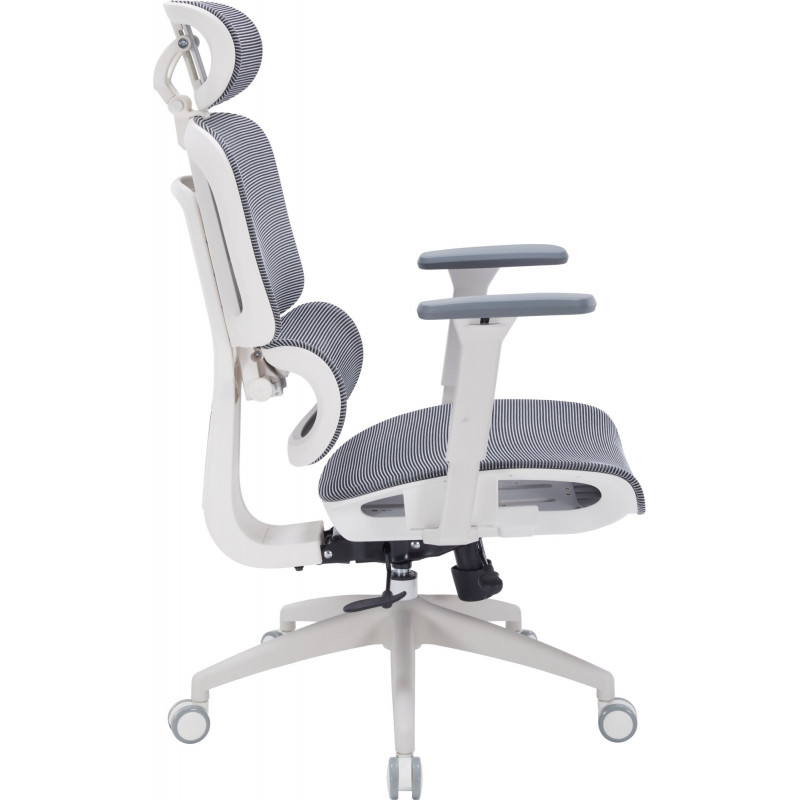 Крісло офісне OfficePro Skyline OC680-W-DG-DG