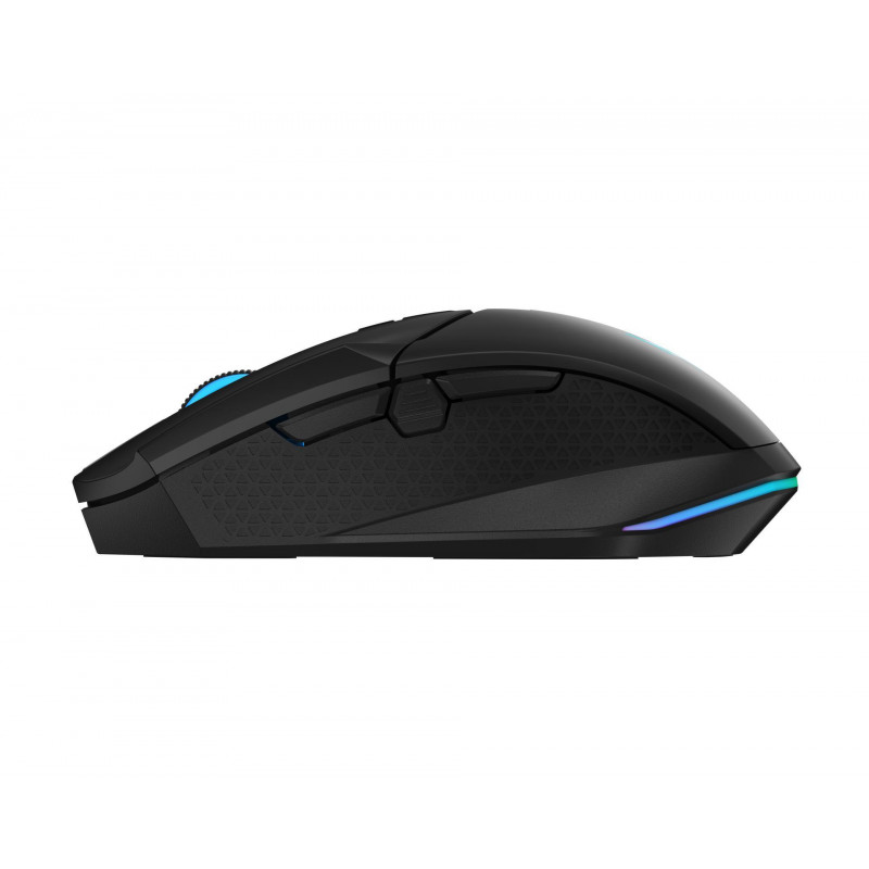 Mиша ACER GP.MCE11.043
