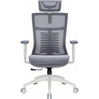 Крісло офісне OfficePro Balance OC620-W-DG-DG