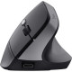 Миша Trust Bayo 2 Ergonomic, WL/USB-A, чорний 25145_TRUST