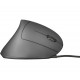 Миша Trust Verto Ergonomic, USB-A, Чорний 25133_TRUST