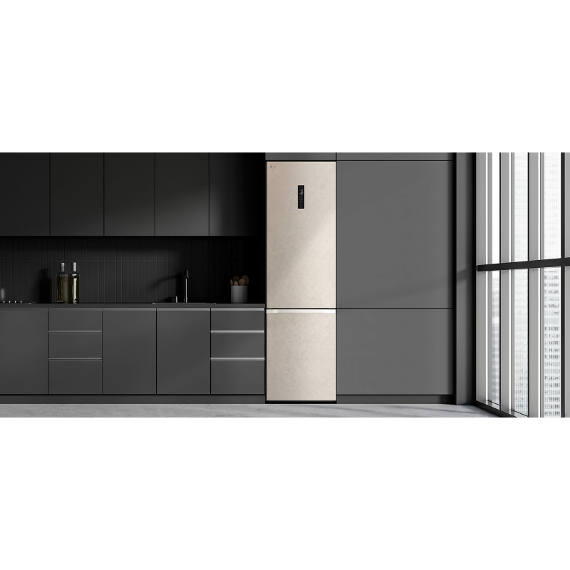 Холодильник LG GC-B509FEMW