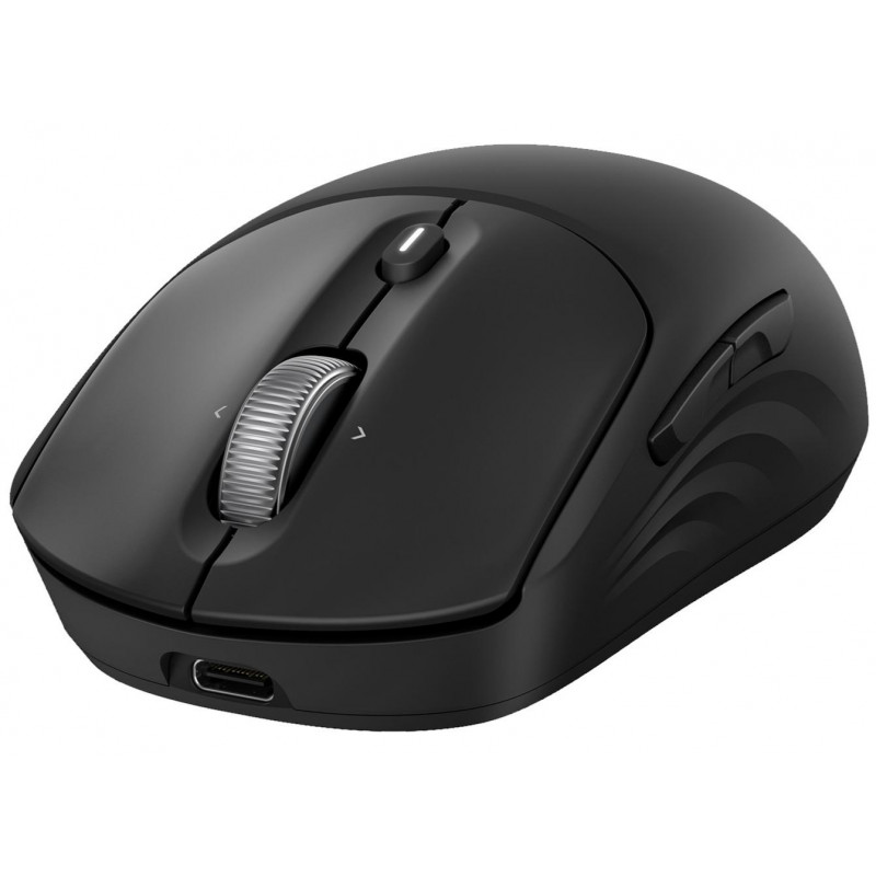 Миша HP 700 Rechargeable, WL/BT, чорний AZ7B0AA