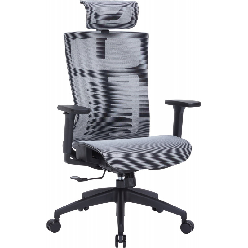 Крісло офісне OfficePro Balance OC620-B-DG-DG