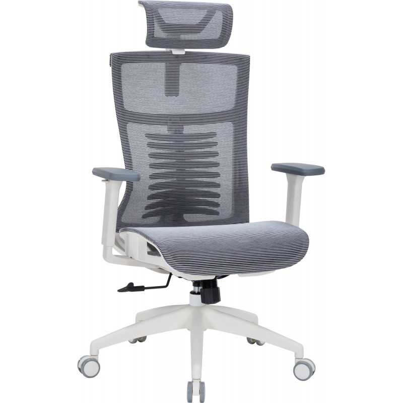 Крісло офісне OfficePro Balance OC620-W-DG-DG
