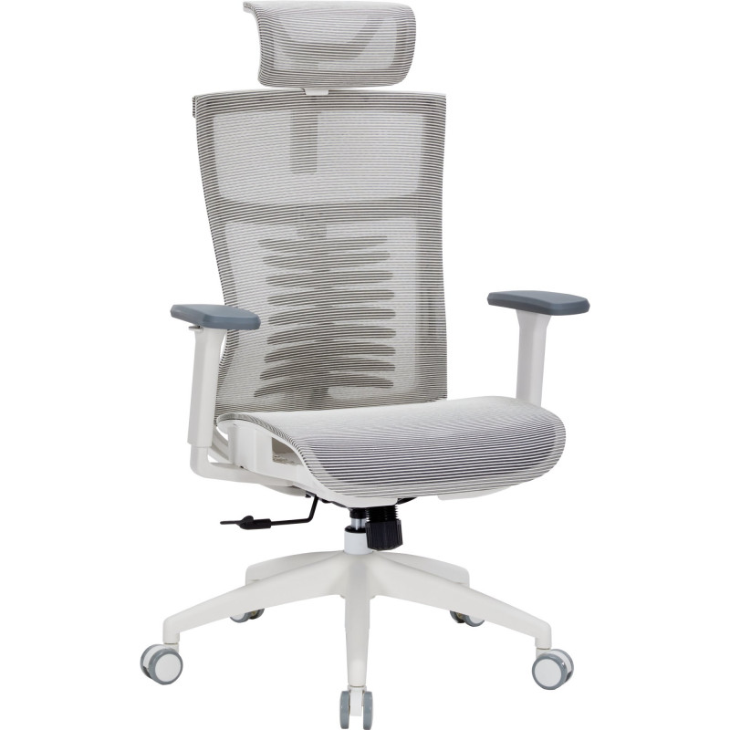 Крісло офісне OfficePro Balance OC620-W-LG-LG