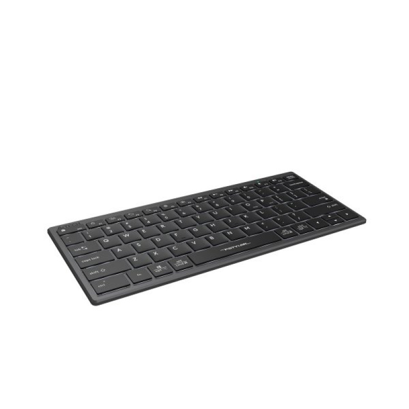Клавіатура A4-Tech Fstyler FX61, сірий, USB
