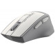 Миша A4Tech Fstyler FG30S (Grey+White), USB