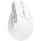 Миша Trust Bayo 2 Ergonomic, WL/USB-A, білий 25146_TRUST
