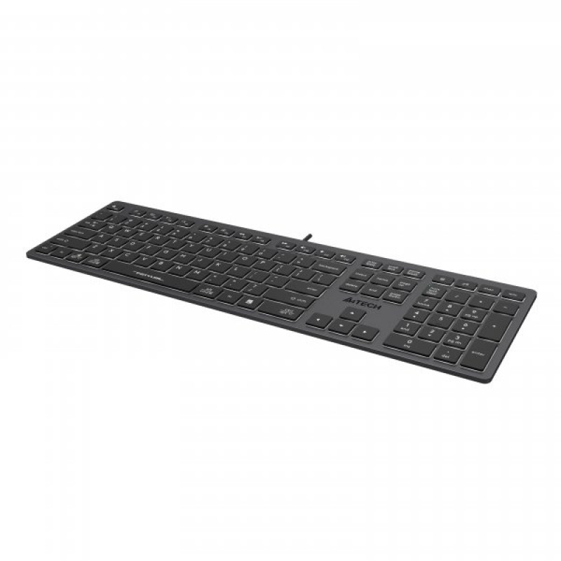 Клавіатура A4-Tech Fstyler FX60H, сірий, USB
