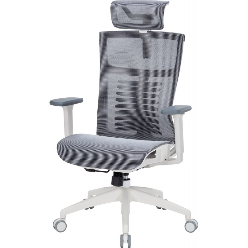 Крісло офісне OfficePro Balance OC620-W-DG-DG