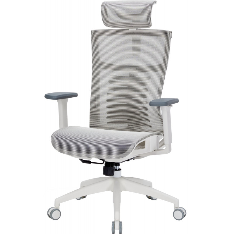 Крісло офісне OfficePro Balance OC620-W-LG-LG
