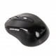 Миша Gembird MUSW-6B-01