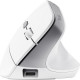 Миша Trust Bayo 2 Ergonomic, WL/USB-A, білий 25146_TRUST