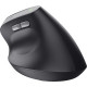 Миша Trust Bayo 2 Ergonomic, WL/USB-A, чорний 25145_TRUST
