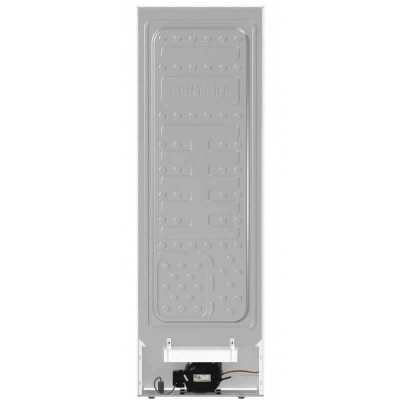 Морозильна камера Gorenje FN619EEW5