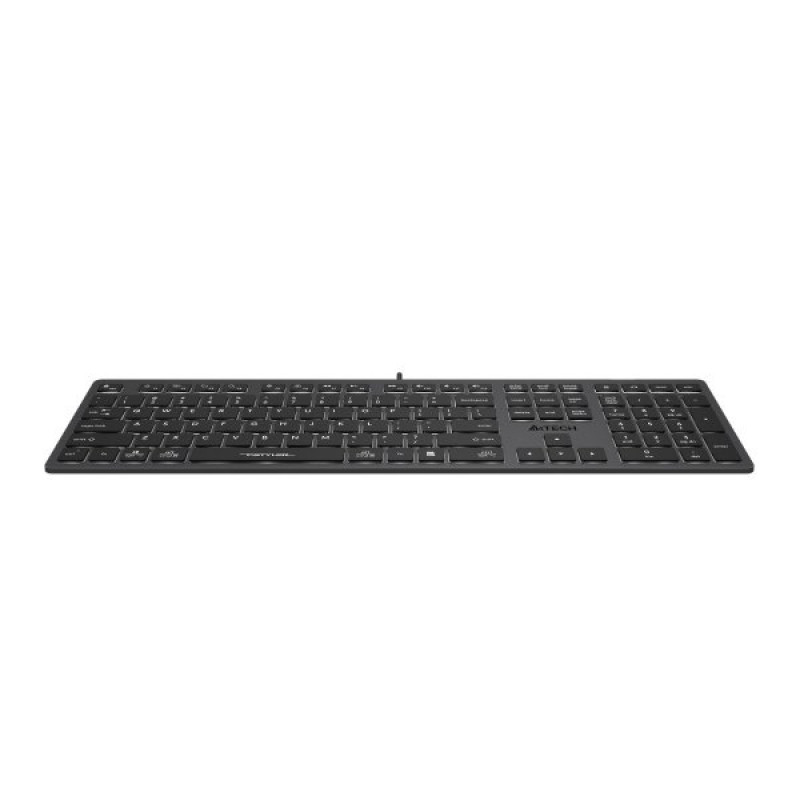 Клавіатура A4-Tech Fstyler FX60H, сірий, USB