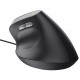 Миша Trust Bayo 2 Ergonomic, USB-A, чорний 25144_TRUST