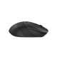 Миша A4Tech Fstyler FB10CS (Stone Black), USB