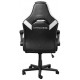Крісло Trust GXT703W Riye, шкіра, Foldable Armrests, білий 25130_TRUST