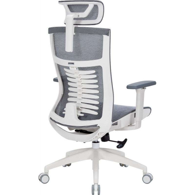 Крісло офісне OfficePro Balance OC620-W-DG-DG
