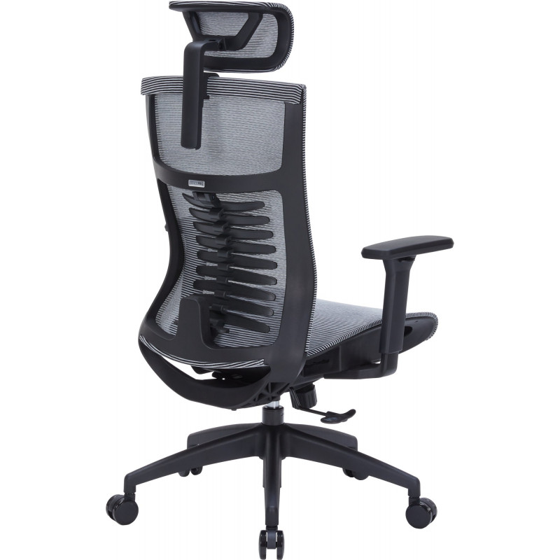 Крісло офісне OfficePro Balance OC620-B-DG-DG