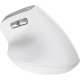 Миша Trust Bayo 2 Ergonomic, WL/USB-A, білий 25146_TRUST