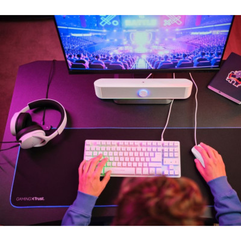 Акустична система (Звукова панель) Trust GXT 619 Thorne RGB Illuminated, Білий 25110_TRUST