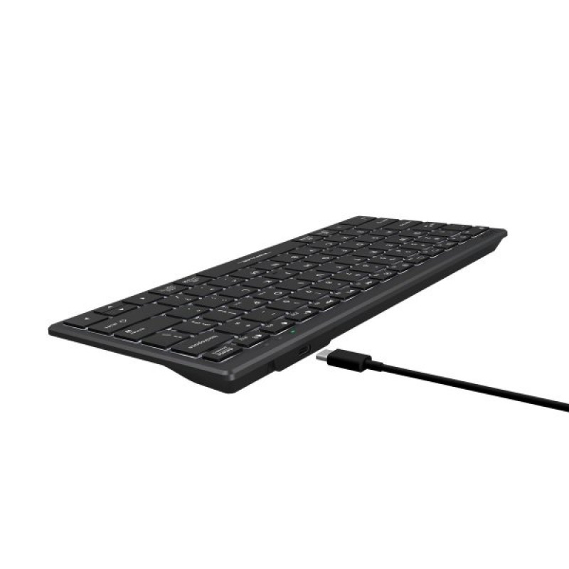 Клавіатура A4-Tech Fstyler FX61, сірий, USB